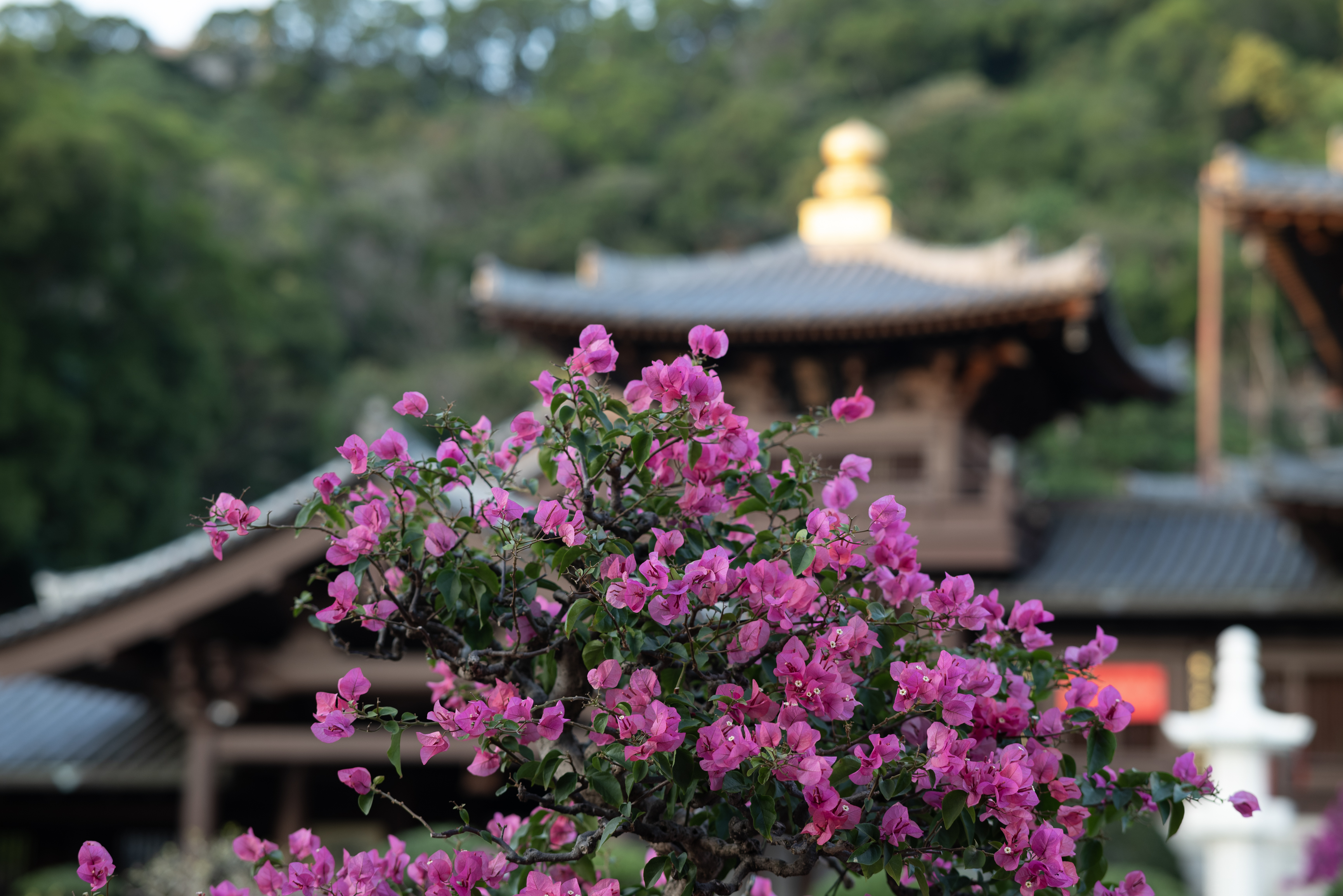 Featured image of post Valentine's Day